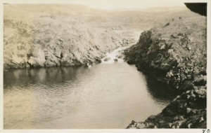 Image: Trout pool